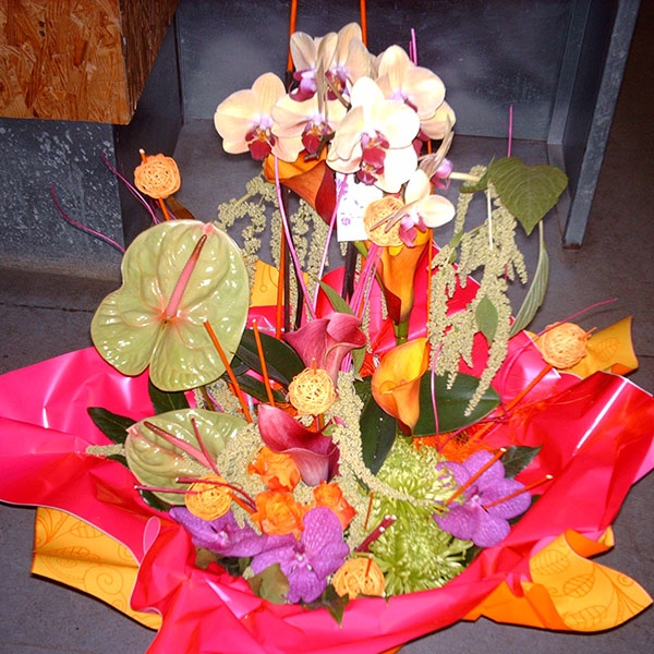 Composition orchidée fleurs